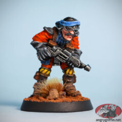 Pirate 23 (Rogue Trader)