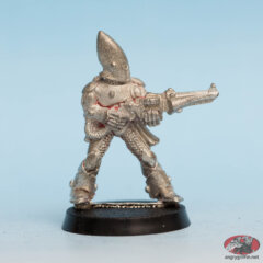 Eldar Guardian with Shuriken Catapult 1