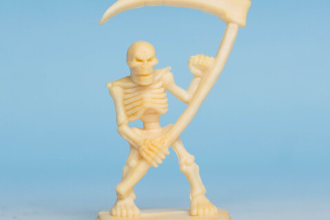 Skeleton