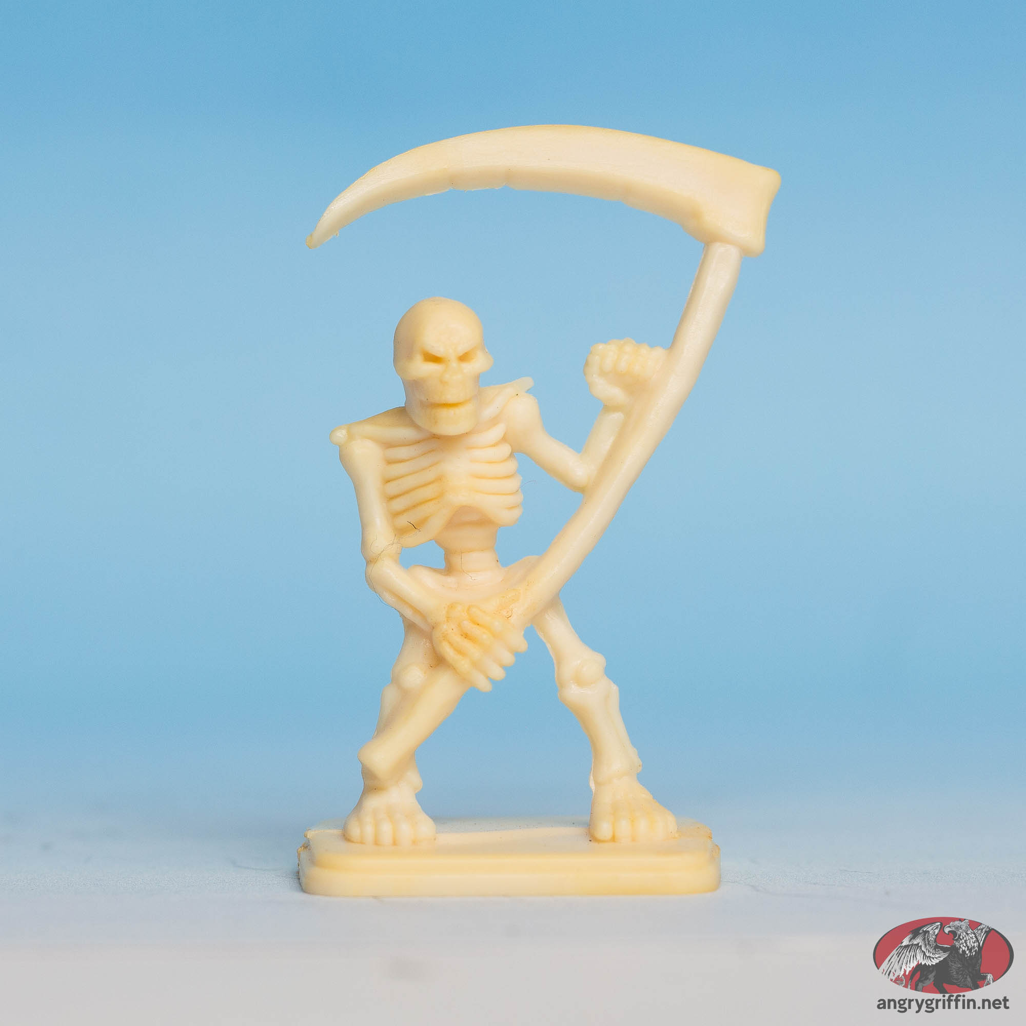 Skeleton