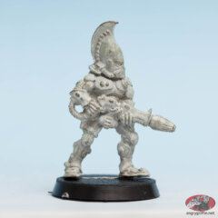 Eldar Fire Dragon 1