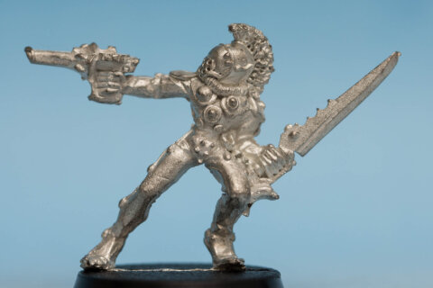 Harlequin Trouper 17