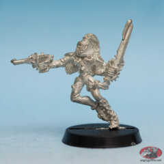Harlequin Trouper 15