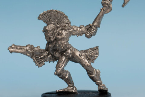 Harlequin Trouper 16