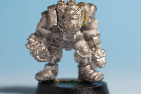 Vashkor Drool