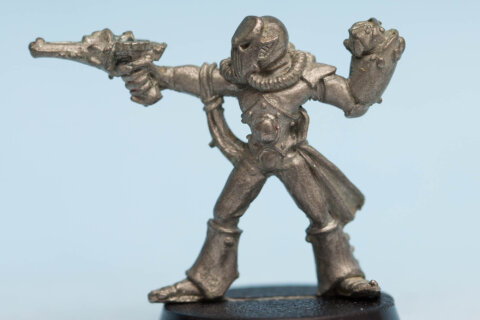 Harlequin Trouper 5