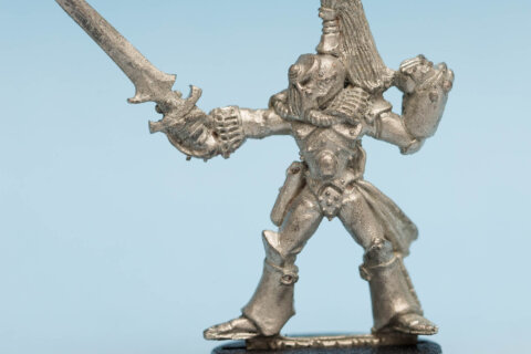 Harlequin Trouper 8