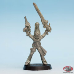 Harlequin Trouper 3