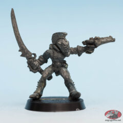 Harlequin Trouper 2