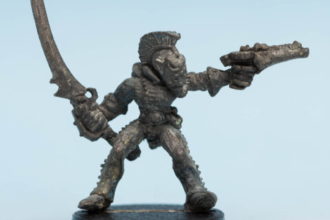 Harlequin Trouper 2