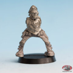 Imperial Guard Rough Rider Captain 09