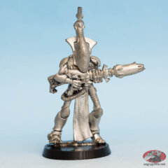 Eldar Wraithguard 2 (2nd. Ed.)