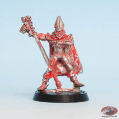 Imperial Bodyguard aka Adeptus Custodes