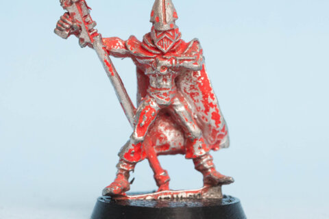 Imperial Bodyguard aka Adeptus Custodes