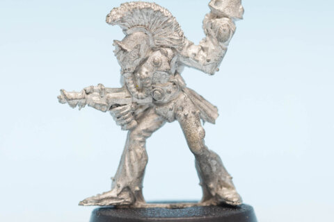 Harlequin Trouper 14
