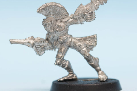 Harlequin Trouper 19
