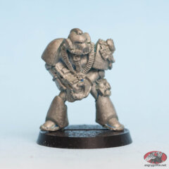 Space Marine with Terminator Honours – Bolter