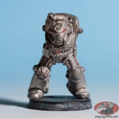 Space Marine Terminator 1 (2nd. Ed.)