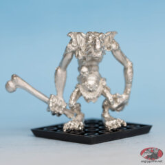 Stone Troll With Bone Club