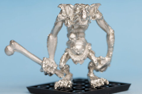 Stone Troll With Bone Club