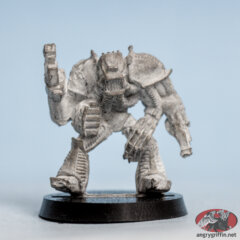 0222 Chaos Renegade 15