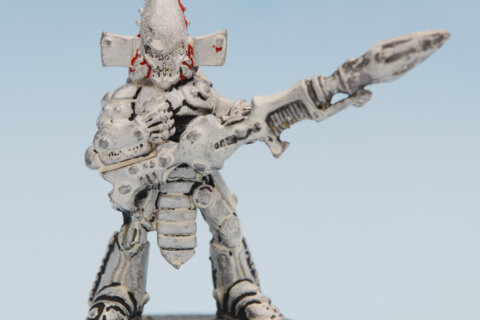Eldar Dark Reaper 1