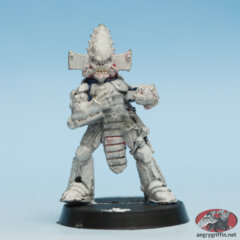 Eldar Dark Reaper 3