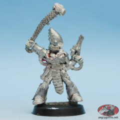 Eldar Dark Reaper Exarch with Web of Skulls