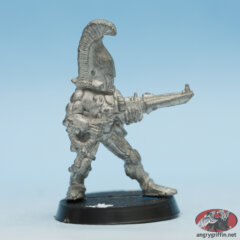 Eldar Dire Avenger 2