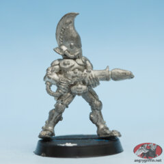 Eldar Fire Dragon 2