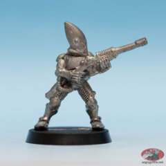 Eldar Guardian with Las Gun 2