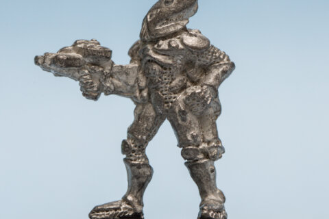 Aedui Starborn