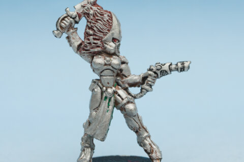 Eldar Howling Banshee 4