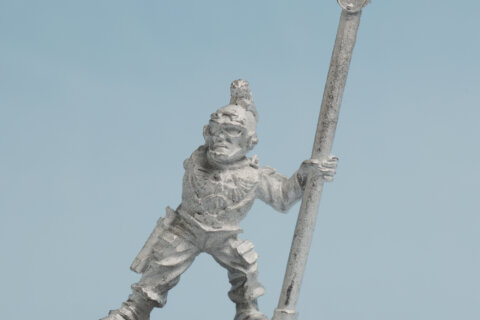 4010 Imperial Guard Orderly