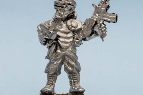 Pirate 8 (Rogue Trader)