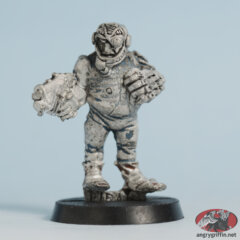 Pirate 24 (Rogue Trader)