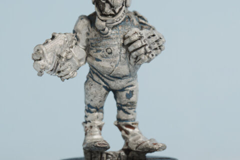 Pirate 24 (Rogue Trader)