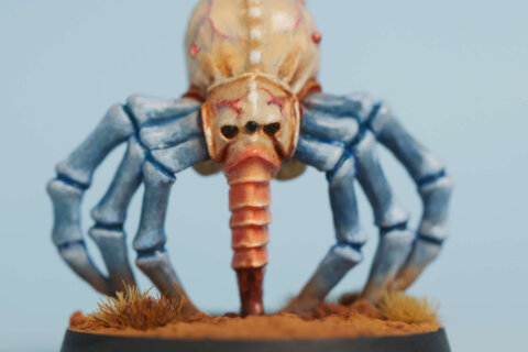 Spider Tyranid aka Big Squig 2