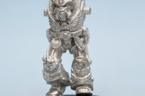 Terminator Librarian