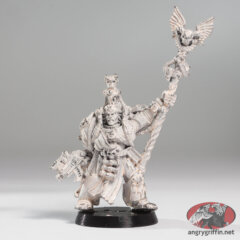 Chief Librarian Tigurius