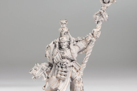 Chief Librarian Tigurius