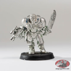 Space Marine Scout 1