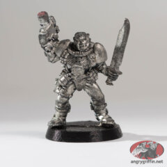 Space Marine Scout 3