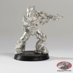 Sternguard Veteran with Boltgun 1