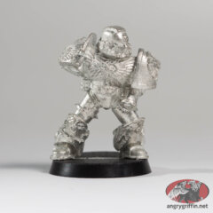 Sternguard Veteran with Boltgun 2
