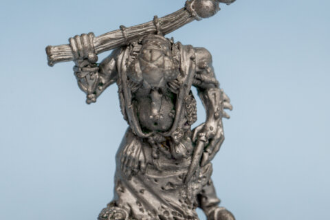 Chaos Nurgle Champion With Fly Head