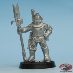 2018 BOYL Nuln Steersman