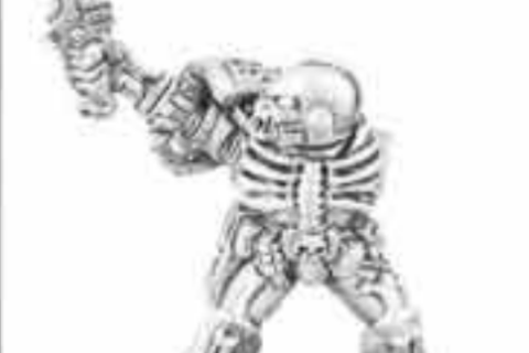 Legion of the Damned Sergeant 1