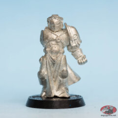 Space Marine Champion