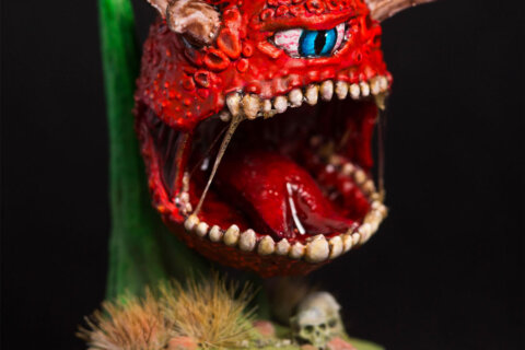 Dark Watcher by Reaper Miniatures